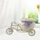 Woven Mini Bike Basket Ornament Nostalgic Plant Rack for Table Garden Indoor