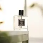Safari Perfume for Men 100ml – Fresh Citrus Musk Scent | Summer Cologne | Jordan