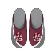 FOCO NCAA Men's Montana Grizzlies 2022 Big Logo Color Edge Slippers