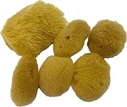Awesome Aquatic Soft Natural 6 Silk Sponges 1.5-3 Cosmetic Makeup Application Removal Face Eye Nail Cleaning Like Cotton Balls Creating The Perfect Home Bath & Shower Experience