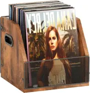 Vinyl Record Storage, Desktop LP Album Display Holder Box Holds up to 60 Records
