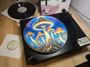 Magic Mushroom Magic Mushroom Trippy Mushroom Turntable Mat, Felt Felt Slipma...