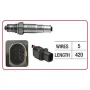 RAE Oxygen Sensor - OX862