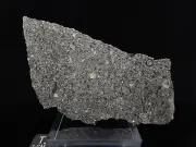 Meteorite TnA *Taoussat-n-Amouzzour* L3.2 OC *32.54 g* !Dry Cut!