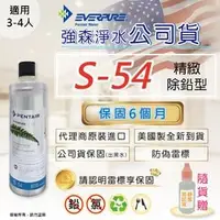 在飛比找PChome商店街優惠-【強森淨水❤公司貨】EVERPURE S54濾心/濾芯 現貨