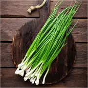 Onion (Spring) - Grandstand seeds