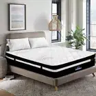 Egg Shaped Foam Mattress King Size Bed 7 Zone Pocket Spring Dust Mite Resistant
