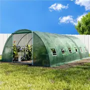 4x6x2M Green Fingers Greenhouse Aluminum Walk in Green House Tunnel Plant Garden Shed Dome