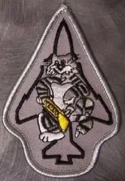 Embroidered Military Patch U S Navy F-14D Super Tomcat NEW