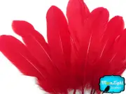1/4 lb - Red Goose Satinettes Wholesale Loose Wing Feathers Craft Quill Supplier
