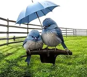 Bird Yard Signs | Acrylic 2D Flat Blue Bird with Umbrella Garden Stake,Easy Installation Ground Insert Art Flower Sticks Decoration for Spring Lawn Pathway Yard