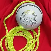 BOXCO Premium Hand Stiched Hanging Two Piece Cricket Leather Ball for Practice