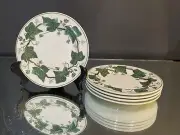 Wedgwood..Napolean’s Ivy..Lovely Set..Bread & Butter Plates..5.875”..Appear Unus