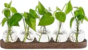 Desktop Propagation Stations Retro Terrarium with Wooden Stand,Glass Vase Plant Holder for Hydroponics Water Plants Cutting,Home Garden Office Decor,Plant Holder Lover Gifts