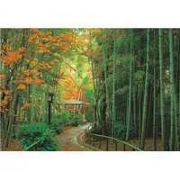 在飛比找博客來優惠-【台製拼圖】HM100-232 浪漫風景-日本竹林道 紅葉之