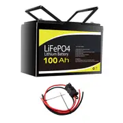 12V 100Ah Lithium Battery + Controller to Battery M8 Cable (1m, 60A)