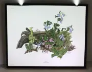 Maryrose Wampler, Bluebells, Signed Print, 28x22 Wall Art, Plate 27