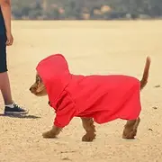 Cechoayuu Dog Clothes, Pet Hoodie, Cold Protection, 3 Colors to Choose from, Long Lasting, Sweatshirt, For Walks, Outings, Autumn/Winter, Spring (#03)