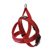 Ezydog Quickfit Dog Harness Red