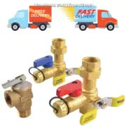 Rheem RTG20220AB Webstone Tankless Water Heater Service Valve Kit