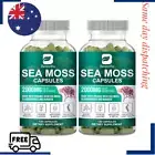 240 Pills Organic Sea Moss Capsules w/ bladderwrack Immune Boost Thyriod Support