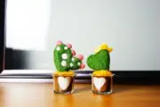 Handmade wool felt plant cactus small table decors succulent home decorations