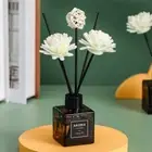50Ml Flameless Home Fragrance Room Perfume Liquid Air Freshener Birthday Gift De