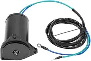 Outboard Tilt Trim Motor 6H1 43880 02 00 Replacement for 2 Stroke 50HP Boat Motors