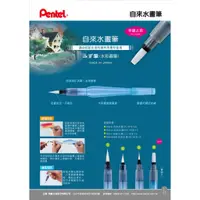 在飛比找蝦皮購物優惠-【彩虹文具小舖】Pentel 飛龍 自來水畫筆 大 中 小 