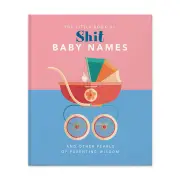 Little Book Of Shit Baby Names