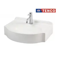 在飛比找蝦皮購物優惠-《 阿如柑仔店 》TENCO 電光牌  檯面盆 檯面式面盆組