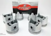 1967-1984 Chrysler Dodge Plymouth Car 318 5.2L V8- FLAT TOP PISTONS & CAST RINGS