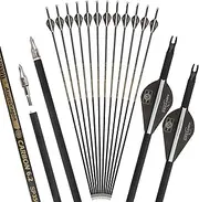 wolfman 31" Pure Carbon Arrows Archery Practice Hunting Arrows Spine 300 350 400 500 600 with Removable Tips Targeting Arrows for Compound & Recurve & Long Bow 6/12Pack (Brown-12pcs, Spine 400)