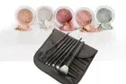 5pc KIT w/BRUSH SET (LIGHT) Foundation Concealer Blush Corrector Bare Face Full