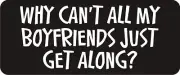 3 - Why Can't All My Boyfriends Hard Hat Biker Helmet Sticker Bs584