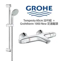 在飛比找Yahoo奇摩購物中心優惠-【麗室衛浴】 德國製造 GROHE 28591手持蓮蓬頭+恒