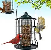 iPetba Wild Bird Feeder Squirrel Proof for Outdoors Hanging, All Metal Bird Seed Feeders for Outside Winters for Cardinals Capacity Goldfinch