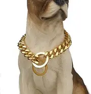 Aiyidi Dog Chain Collar Gold/Silver Stainless Steel 12mm Wide Cuban Curb Link Chain Dogs Necklace Walking Training Collars for Large Medium and Small Dogs 12-26 inches (Gold, 20inch)