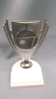 VOLLEYBALL Award silver trophy full color insert weighted white base