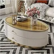 Modern Coffee Table with Unique Table Top and Stable Base Oval Sofa Table Center Table with 2 Large Drawers for Living Room and Office(Gold,120 * 70 * 48cm)