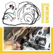 STAND ALONE HARNESS WIRING T56 Non-Electric Tran 4.8 6 5.3 1997-2006 DBC LS USA (for: Subaru)