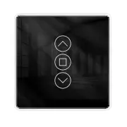 Smart WiFi RF Curtain Switch with European Standard Specification