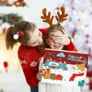 Fidget Calendar Advent Toy Christmas Toys Xmas Pop Simple Dimple Toy Gift Set