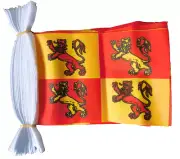 OWAIN GLYN DWR 3 METRE BUNTING 10 FLAGS flag 3M WALES WELSH
