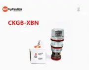 1pcs NEW Sun hydraulics non-return valve CKGB-XBN