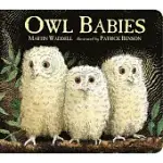 OWL BABIES