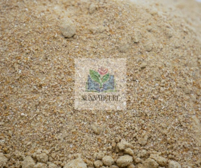 SunnahCure, Sea Costus, Quist al Bahri, Costus Marine, Sea Costus Powder, 20g