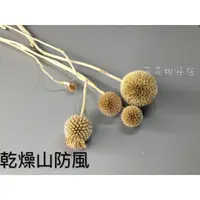 在飛比找蝦皮購物優惠-花花柑仔店『乾燥山防風』乾燥花 不凋花 永生花材 花束 捧花