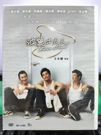 在飛比找Yahoo!奇摩拍賣優惠-影音大批發-S35-011-正版DVD-台劇【波麗士大人／共