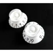 2 Knobs White Plexi Vintage Metric 18 Splins Without Grave LP Sg